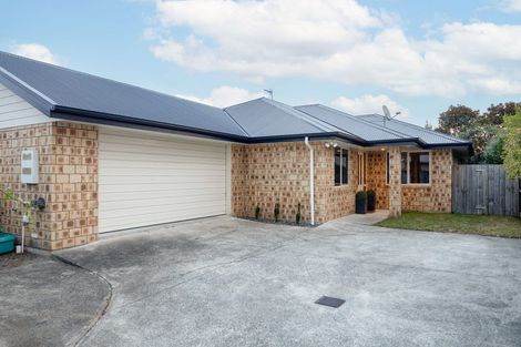 Photo of property in 17 Edward Street, Grandview Heights, Hamilton, 3200