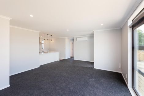 Photo of property in 168 Maxwells Line, Awapuni, Palmerston North, 4412