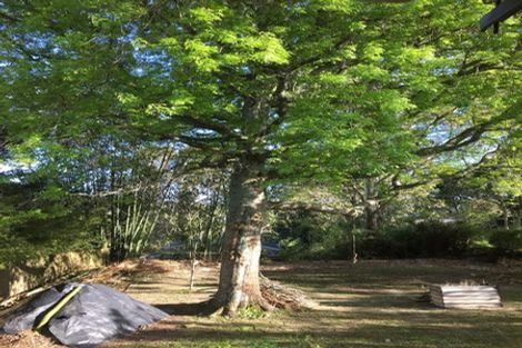 Photo of property in 22 Paramu Avenue, Birkdale, Auckland, 0626