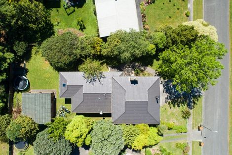 Photo of property in 193 The Terrace, Ashhurst, 4810
