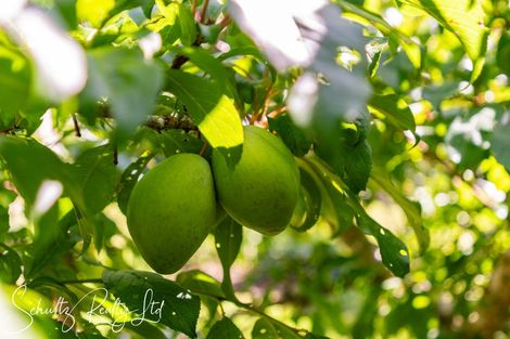 Photo of property in 71 Gorge Road, Maungaturoto, 0520