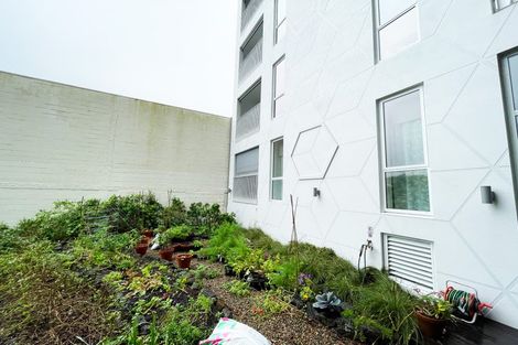 Photo of property in 3/11g Akepiro Street, Mount Eden, Auckland, 1024