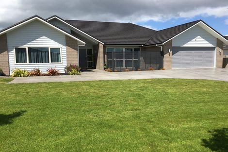 Photo of property in 12 Loftus Place, Flagstaff, Hamilton, 3210