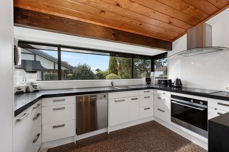 Photo of property in 17 Ellerslie Avenue, Chartwell, Hamilton, 3210