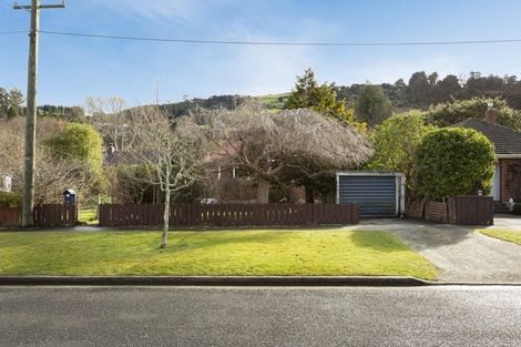 Photo of property in 21 Ainslee Place, North East Valley, Dunedin, 9010