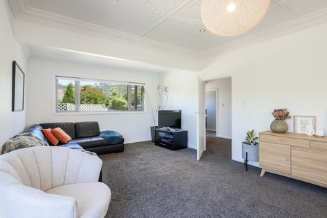 Photo of property in 227a Forbury Road, Saint Clair, Dunedin, 9012