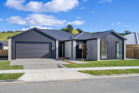 Photo of property in 162 Adler Drive, Ohauiti, Tauranga, 3112