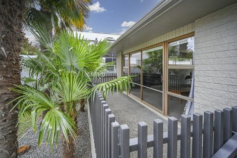 Photo of property in 21 Mchardy Street, Havelock North, 4130