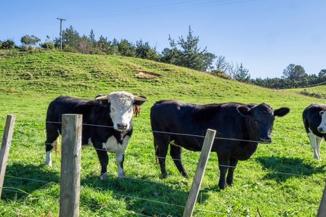 Photo of property in 495a Crawford Road, Minden, Tauranga, 3171