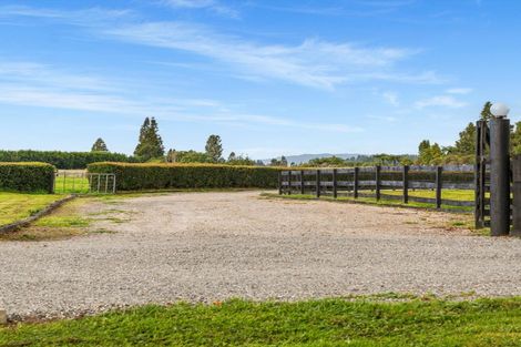 Photo of property in 1235 Omanawa Road, Omanawa, Tauranga, 3171