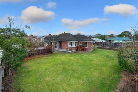 Photo of property in 17 Tenby Place, Avondale, Christchurch, 8061
