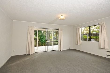 Photo of property in 269 Clarkin Road, Fairfield, Hamilton, 3214