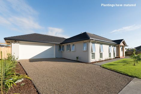 Photo of property in 62 Ranui Avenue, Kerikeri, 0230