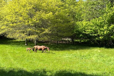 Photo of property in 6339 Matawai Road, Matawai, 4075