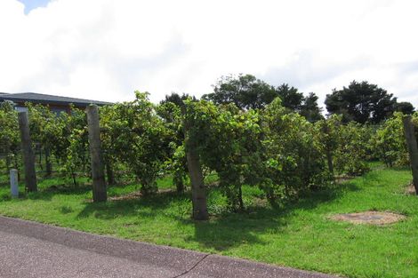 Photo of property in 22 Lorikeet Place, Unsworth Heights, Auckland, 0632