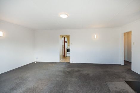 Photo of property in 149 Stanford Street North, Ashhurst, 4810