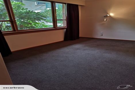 Photo of property in 191 Evans Street, Opoho, Dunedin, 9010