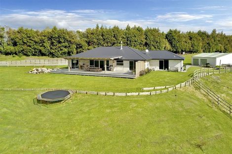 Photo of property in 1160 No 2 Road, Te Ranga, Te Puke, 3182