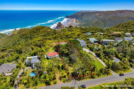 Photo of property in 11 Te Ahuahu Road, Piha, New Lynn, 0772