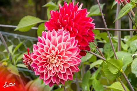 Photo of property in 10 Richmal Street, Waihi, 3610