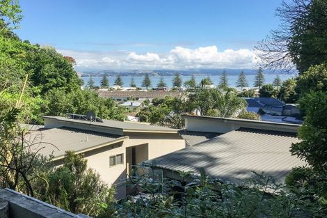 Photo of property in 155 Milton Road, Bluff Hill, Napier, 4110