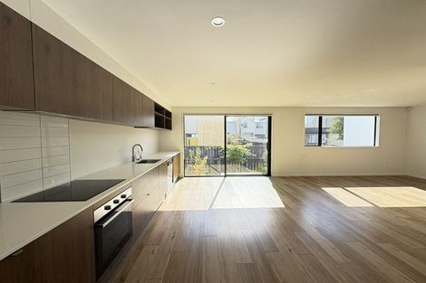 Photo of property in 45 Canon Street, St Albans, Christchurch, 8014