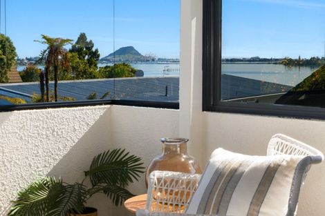 Photo of property in 19a Vine Avenue, Maungatapu, Tauranga, 3112