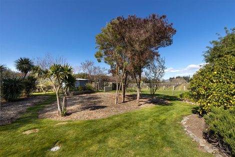 Photo of property in 115 Matthews Lane, Rapaura, Blenheim, 7273