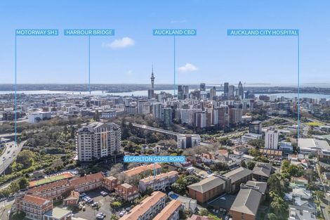 Photo of property in 6l Carlton Gore Road, Grafton, Auckland, 1023