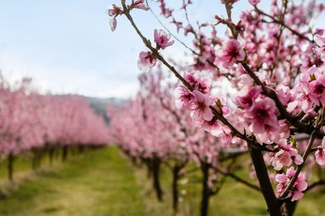 Photo of property in 192 Strode Road, Earnscleugh, Alexandra, 9391