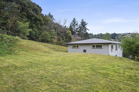 Photo of property in 45 Saint Albans Street, Bradford, Dunedin, 9011