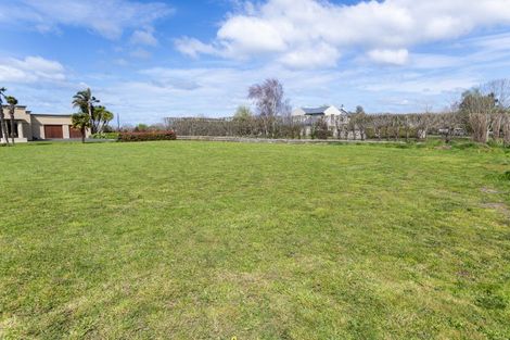 Photo of property in 10 Allan Avenue, Makauri, 4071