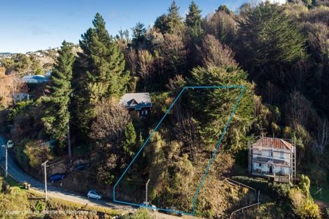 Photo of property in 48 Buccleugh Street, North East Valley, Dunedin, 9010