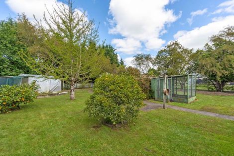 Photo of property in 115 Hillcrest Street, Solway, Masterton, 5810