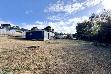 Photo of property in 38 Chislehurst Street, Henderson, Auckland, 0612