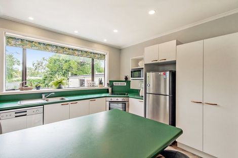 Photo of property in 17 Cryer Street, Southbridge, 7602