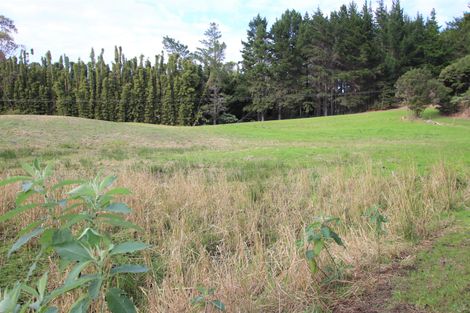 Photo of property in 3293a Far North Road, Pukenui, Kaitaia, 0484