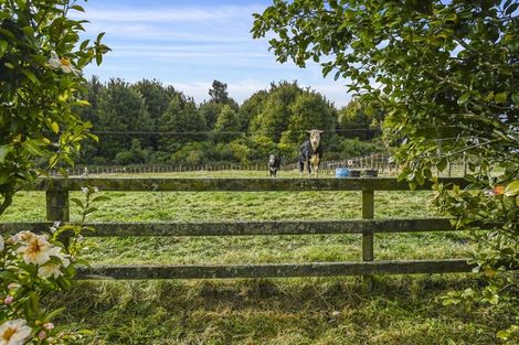 Photo of property in 18 Old State Mill Road, Mamaku, 3020