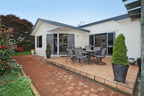 Photo of property in 141a Auckland Road, Greenmeadows, Napier, 4112