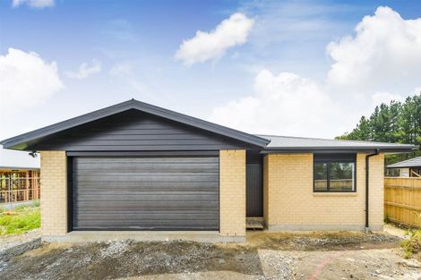 Photo of property in 53 Hereford Street, Marton, 4710