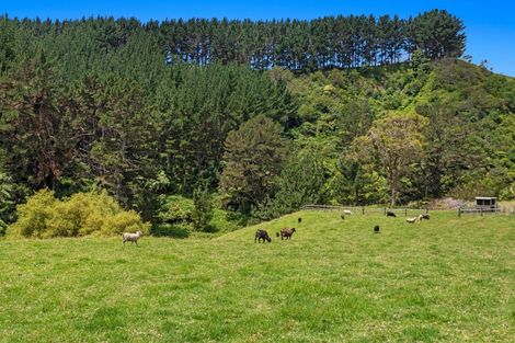 Photo of property in 603f State Highway 2 West, Pikowai, Whakatane, 3194