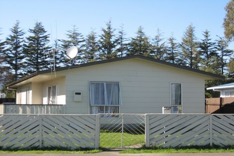 Photo of property in 15 Hinemoa Street, Levin, 5510