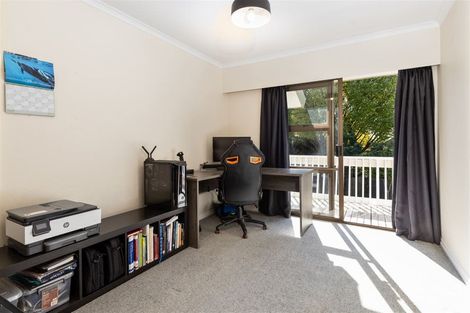 Photo of property in 17 Carlyle Crescent, Witherlea, Blenheim, 7201