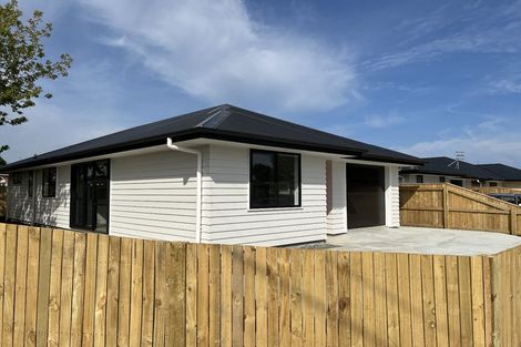 Photo of property in 25 Princes Street, Levin, 5510