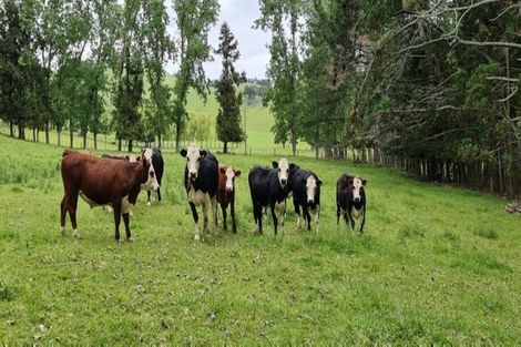 Photo of property in 36 Waipuna Road, Waerenga, Te Kauwhata, 3781