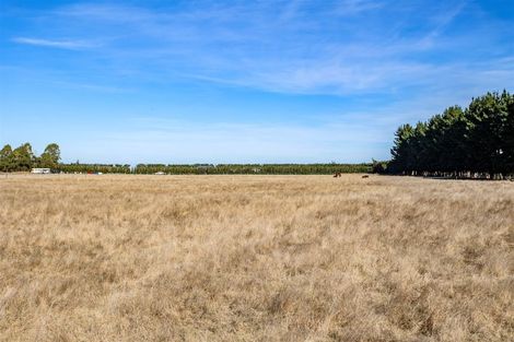 Photo of property in 335 Main Race Road, Eyrewell, Rangiora, 7476