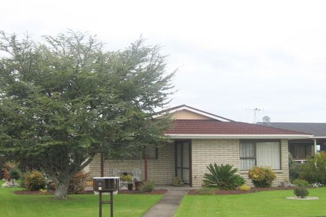 Photo of property in 11 Mount Avenue, Te Aroha, 3320