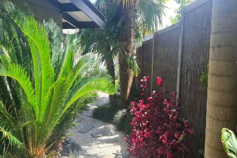 Photo of property in 21 Moana Drive, Tanners Point, Katikati, 3177