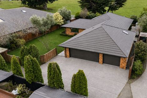 Photo of property in 31 Allison Crescent, Kaiapoi, 7630