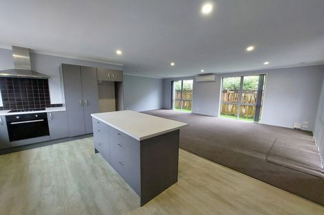 Photo of property in 244 Clyde Street, Hamilton East, Hamilton, 3216